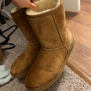 Size 11 Uggs - Chestnut